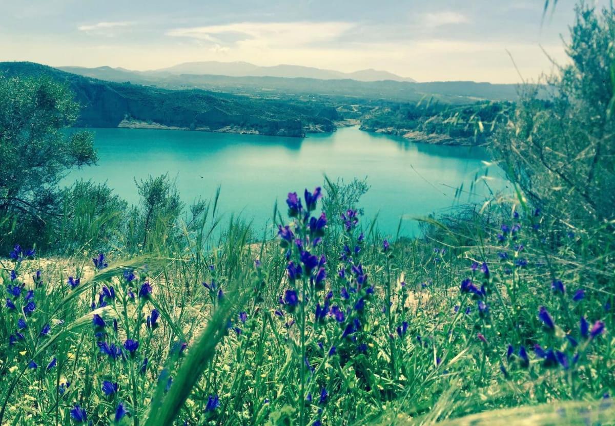 Cortijo Paraiso Charcon Higuera Екстериор снимка