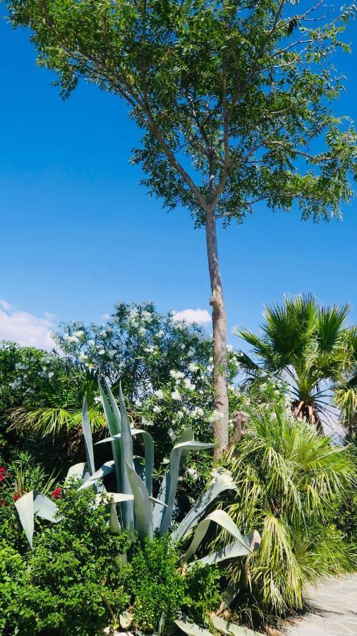 Cortijo Paraiso Charcon Higuera Екстериор снимка