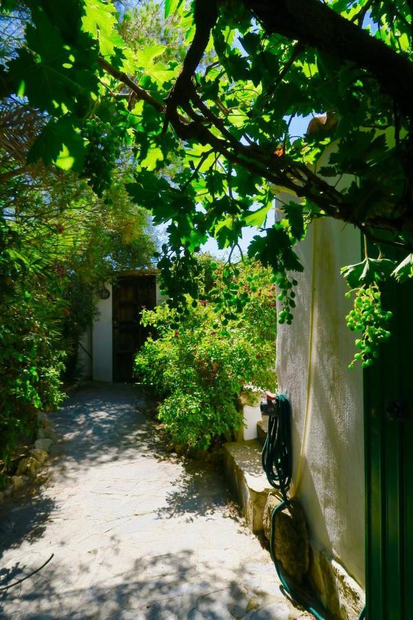Cortijo Paraiso Charcon Higuera Екстериор снимка