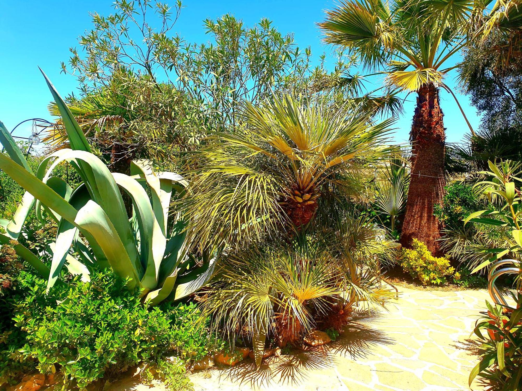 Cortijo Paraiso Charcon Higuera Стая снимка